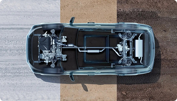 8 regimuri de mișcare