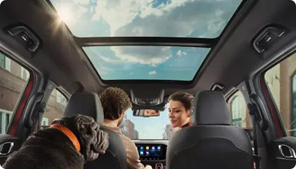 Панорамная крыша